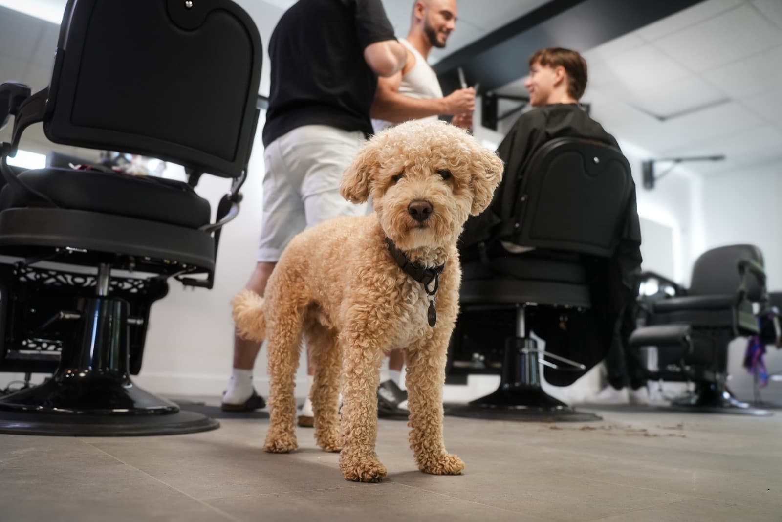 DM Cut — barbershop à Granby